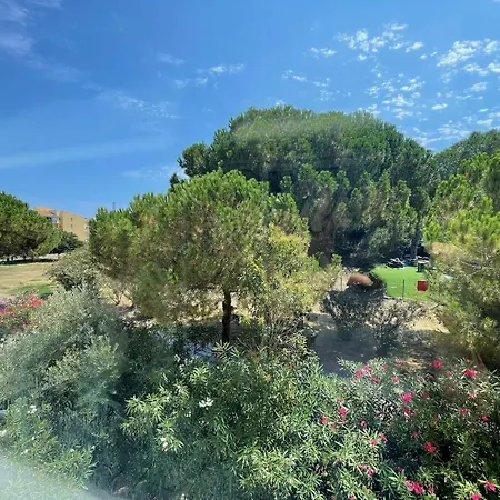 Climatise T3 Avec Piscine, Parking Prive, Proche Plages Et Aqualand, Cap D'agde, 6 Pers. - Fr-1-607-44 * Agde